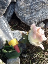 Plastic rose, Lundawick Beach, Unst
