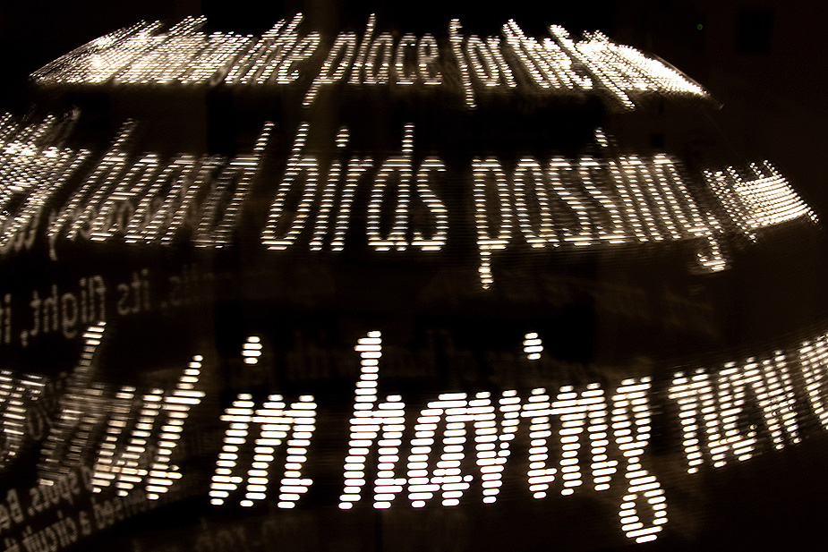floc ~ in the fields (detail, pov)