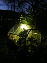 greenhouse ~ in the fields
